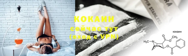 соль ск Гусев