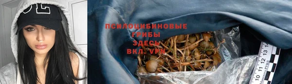 соль ск Гусев