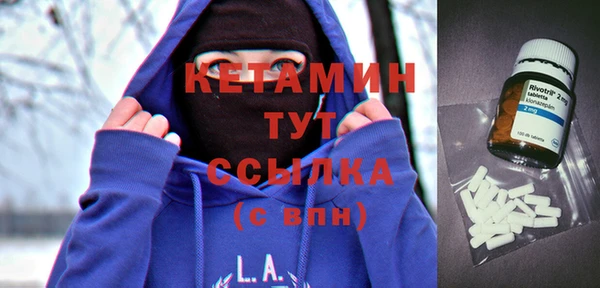 сатива Гусь-Хрустальный