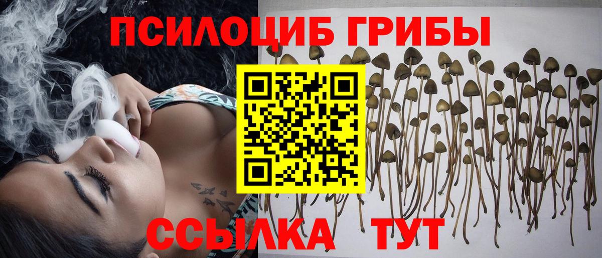 Псилоцибиновые грибы MAGIC MUSHROOMS  Псилоцибиновые грибы Psilocybine cubensis  Вход с VPN  Миллерово 