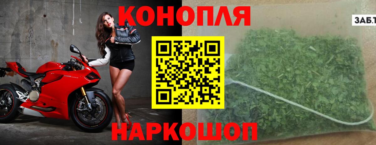 Конопля MAZAR Миллерово